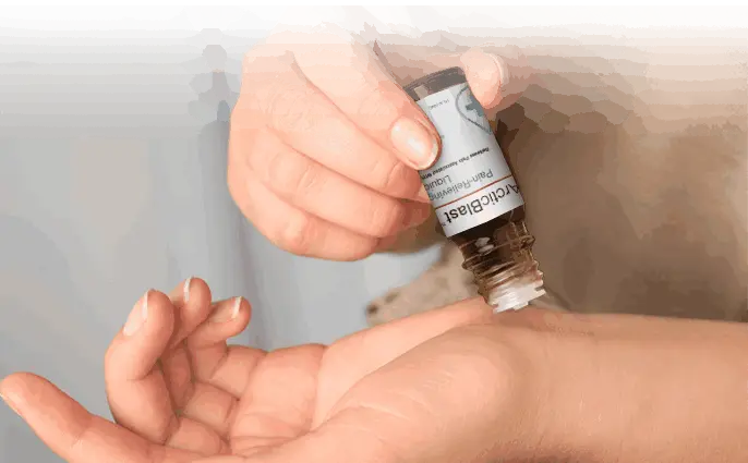 arctic blast official website